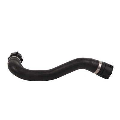 Radiator Hose (TOPT1213041)