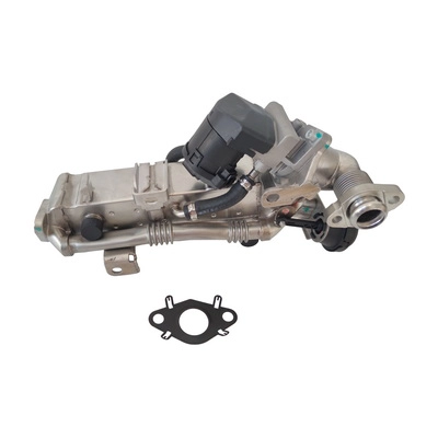 EGR Valve (BF0425820010)