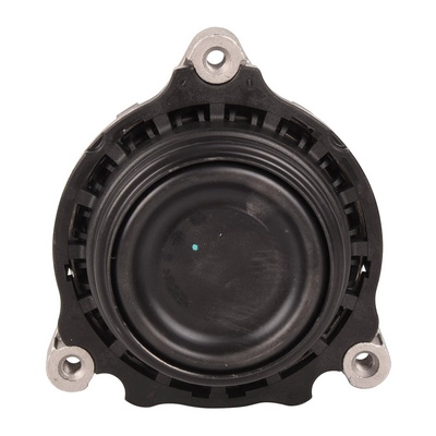 Mounting, engine (BF0428140359)