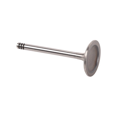 Intake Valve (BF0425670003)