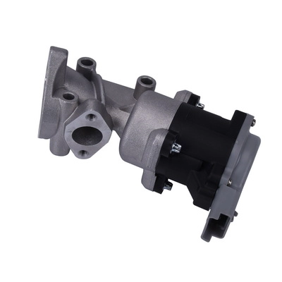 EGR Valve (BF0425810001)