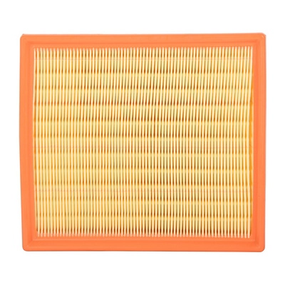 Air Filter (BF0427400038)