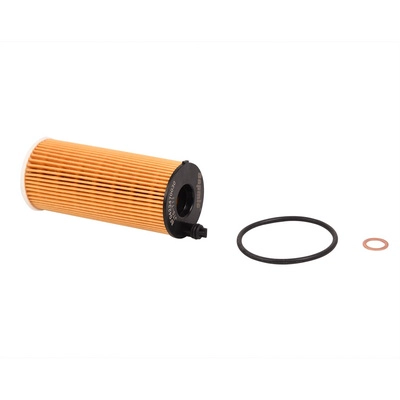 Oil Filter (BF0423470030)