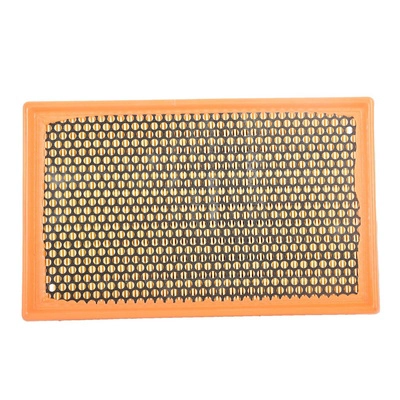 Air Filter (BACB12-939021)