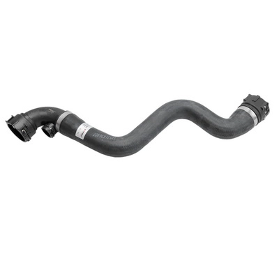 Radiator Hose (TOPT1213086)