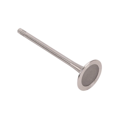 Intake Valve (BF0425670001)