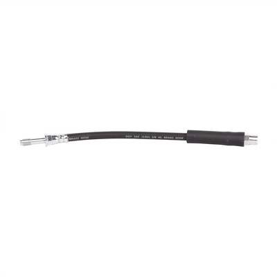 Brake Hose (BF0318950002)