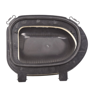 Air Filter (BF0427400041)