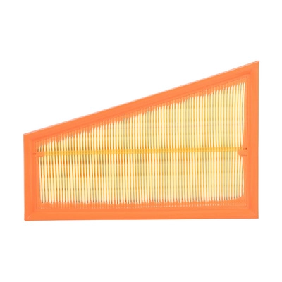 Air Filter (BF0427400050)