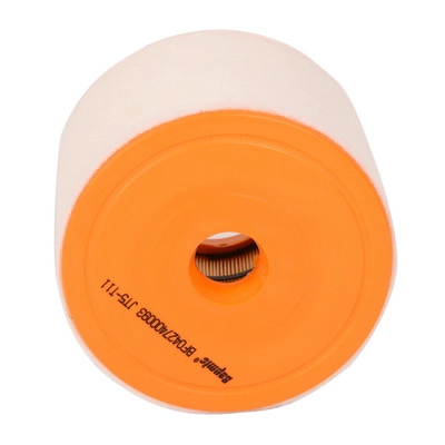 Air Filter (BF0427400093)