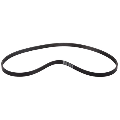 V-Ribbed Belt (BF0427580016)