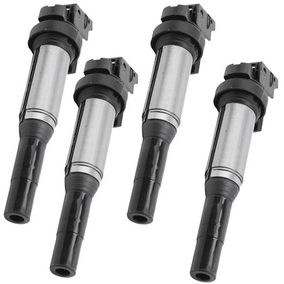 Ignition Coil (BACB12-245020)