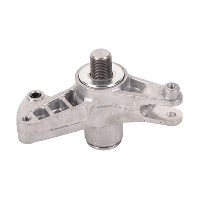 Tensioner Lever, V-ribbed belt (BACB11-234031)