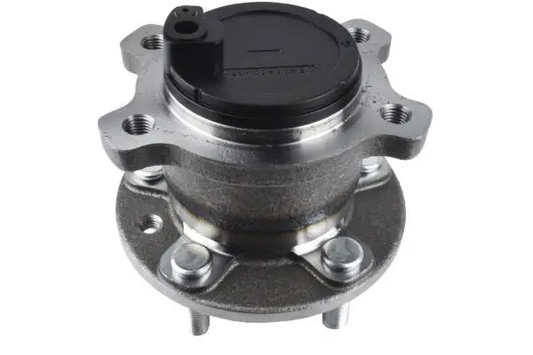 Wheel Hub (HW51019)