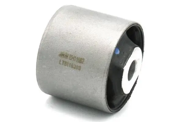 Mounting, differential (BH11062)