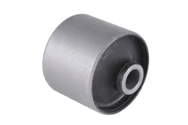 Mounting, control/trailing arm (BH29020)