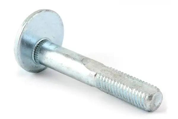 Camber Correction Screw (BB34002)