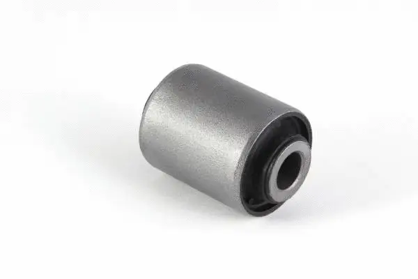 Mounting, control/trailing arm (BH23059)