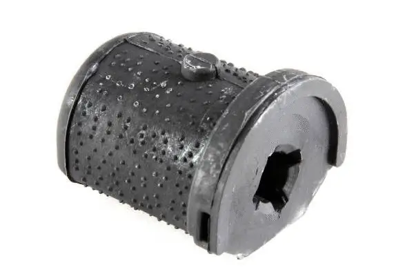 Mounting, differential (BH22019)