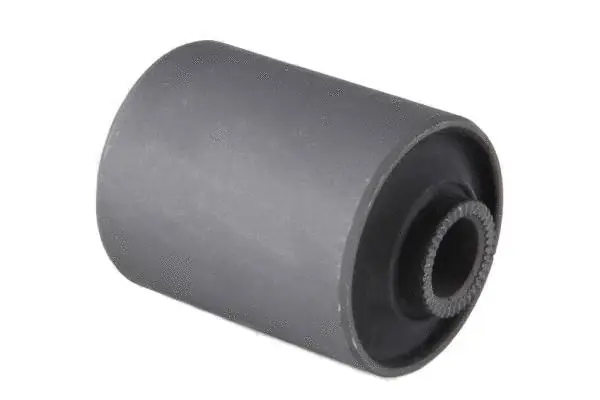 Mounting, control/trailing arm (BH28145)