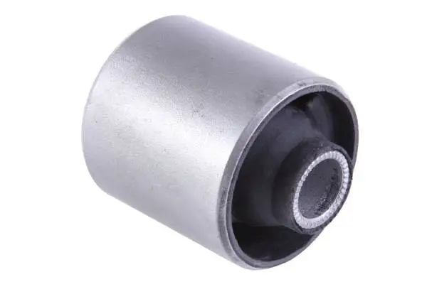 Mounting, control/trailing arm (BH21134)