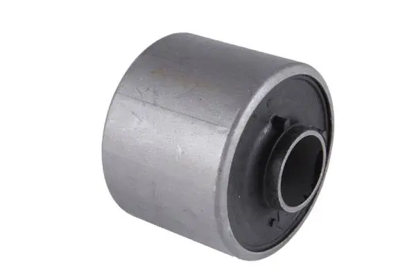 Mounting, control/trailing arm (BH25134)