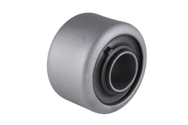 Mounting, control/trailing arm (BH22047)