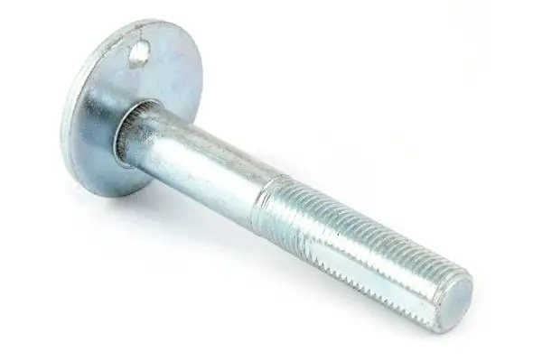 Camber Correction Screw (BB29001)