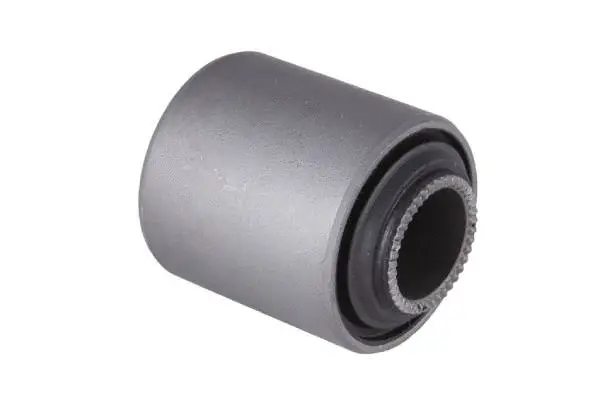 Mounting, control/trailing arm (BH21163)