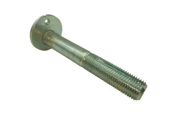 Camber Correction Screw (BB22010)