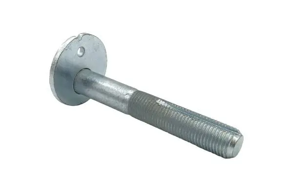 Camber Correction Screw (BB22012)