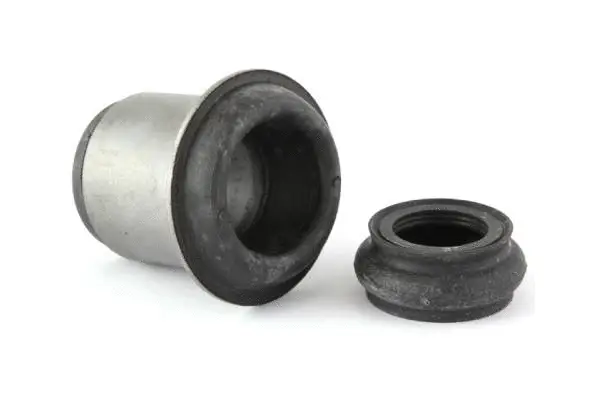 Mounting, control/trailing arm (BH21345)