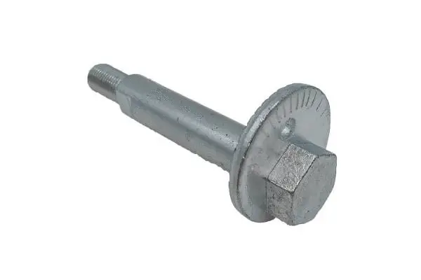 Camber Correction Screw