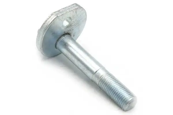 Camber Correction Screw (BB21001)
