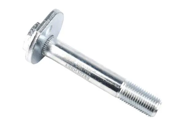 Camber Correction Screw (BB21002)