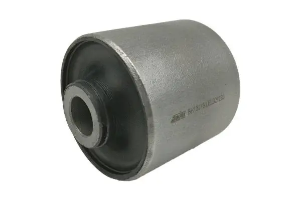 Mounting, control/trailing arm (BH13016)