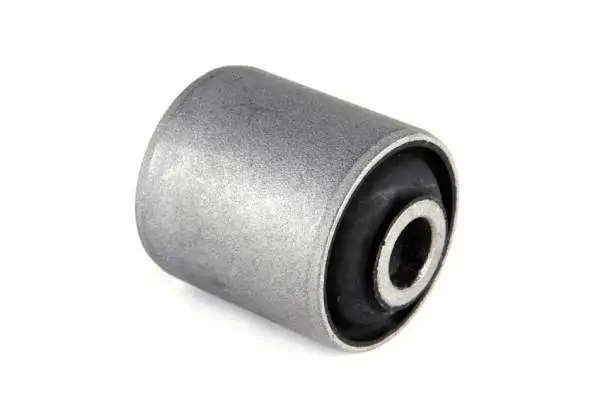 Mounting, control/trailing arm (BH22151)