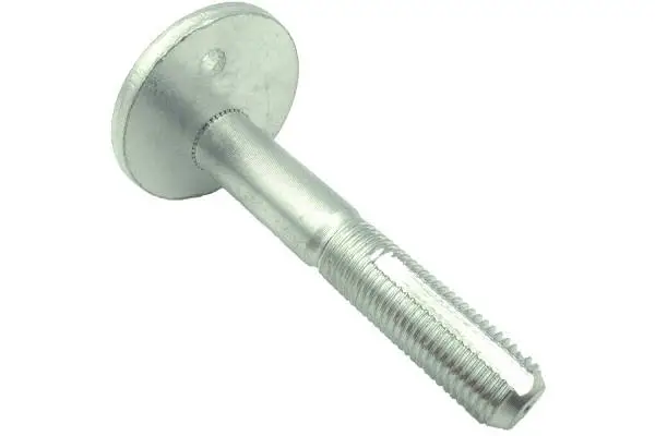 Camber Correction Screw (BB25003)