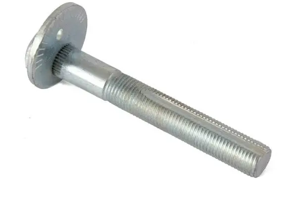 Camber Correction Screw (BB42001)