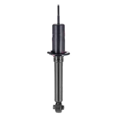 Shock Absorber (382121)