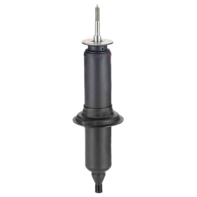 Shock Absorber (385001)