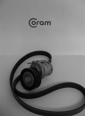 V-Ribbed Belt Set (KTC1000.76)