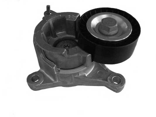 Belt Tensioner, V-ribbed belt (CT1055)