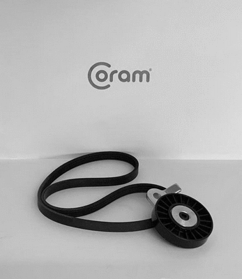 V-Ribbed Belt Set (KTC1011.50)