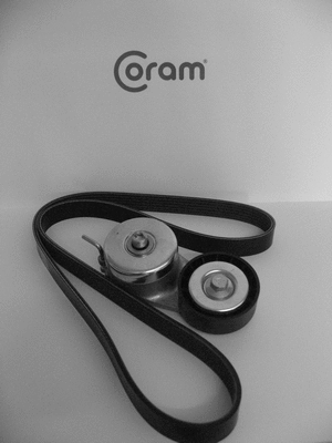 V-Ribbed Belt Set (KTC1033.45)