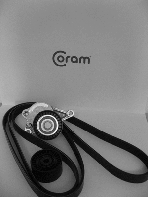 V-Ribbed Belt Set (KTC10491056.41)