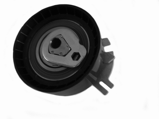 Tensioner Pulley, timing belt (CT1076)