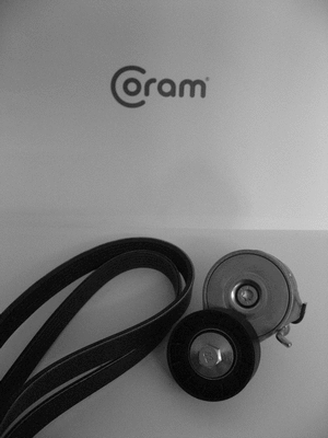 V-Ribbed Belt Set (KTC987.1022)