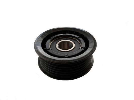 Deflection/Guide Pulley, V-ribbed belt (CT1080)