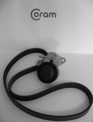 V-Ribbed Belt Set (KTC1051)